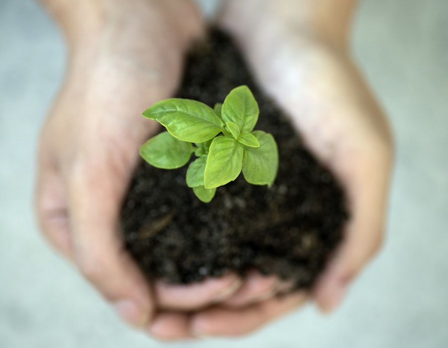 Eco-Friendly Initiative